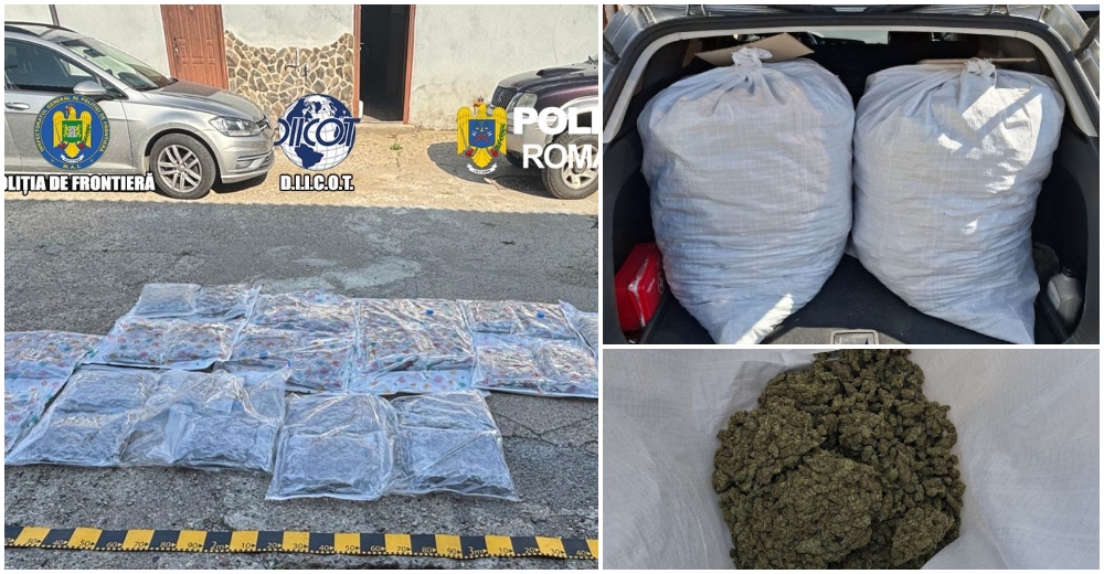 FOTO/VIDEO. Captură istorică de droguri în județul Satu Mare. PresaSM a anunțat în premieră!