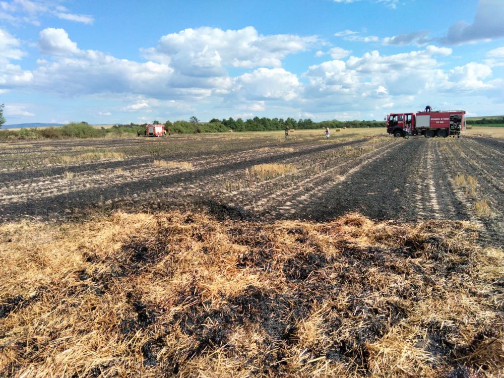 incendiu vegetatie (3).jpg