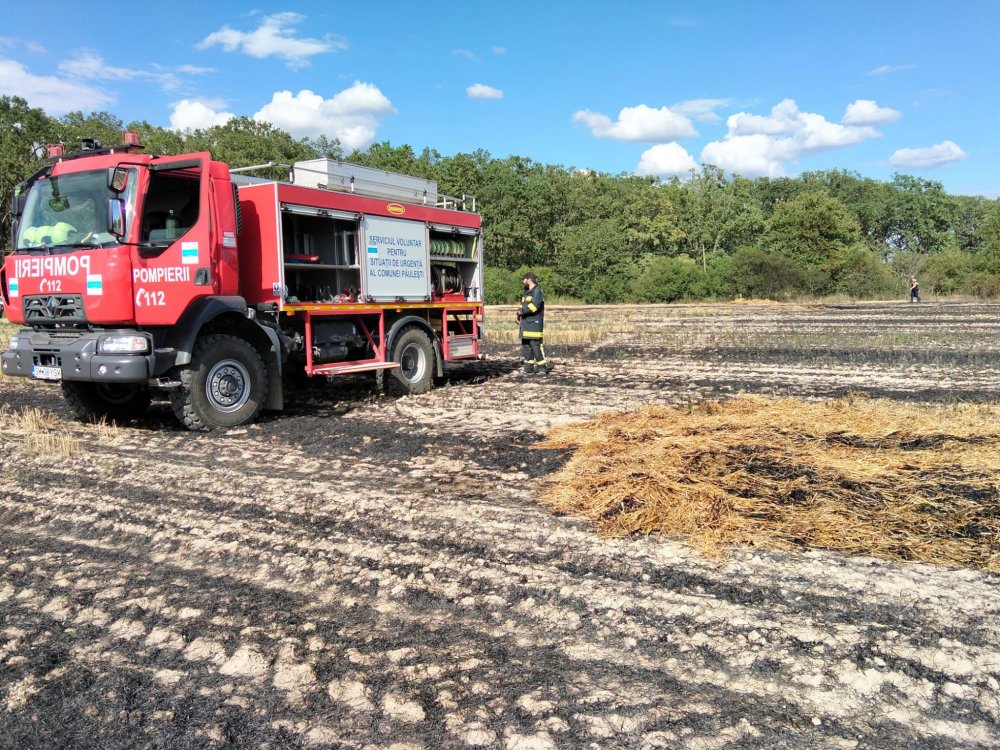 VIDEO. De la ce a pornit incendiul de la parcul industrial din Satu Mare. Au ars zeci de hectare