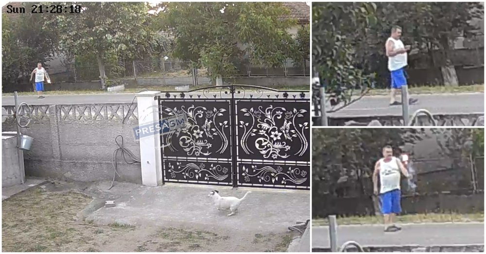 VIDEO. Gest golănesc în Satu Mare: un bărbat a aruncat cu o petardă spre un câine aflat într-o curte. Fapta poate atrage răspunderea penală