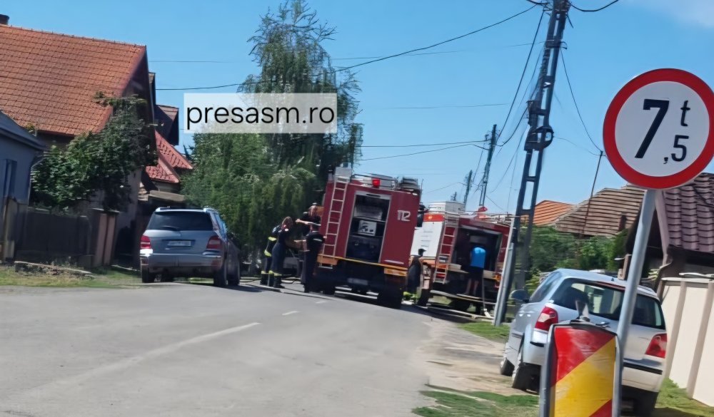 FOTO/VIDEO. Incendiu în Păulești. Pompierii intervin cu mai multe autospeciale, pericol de extindere la casele din apropiere