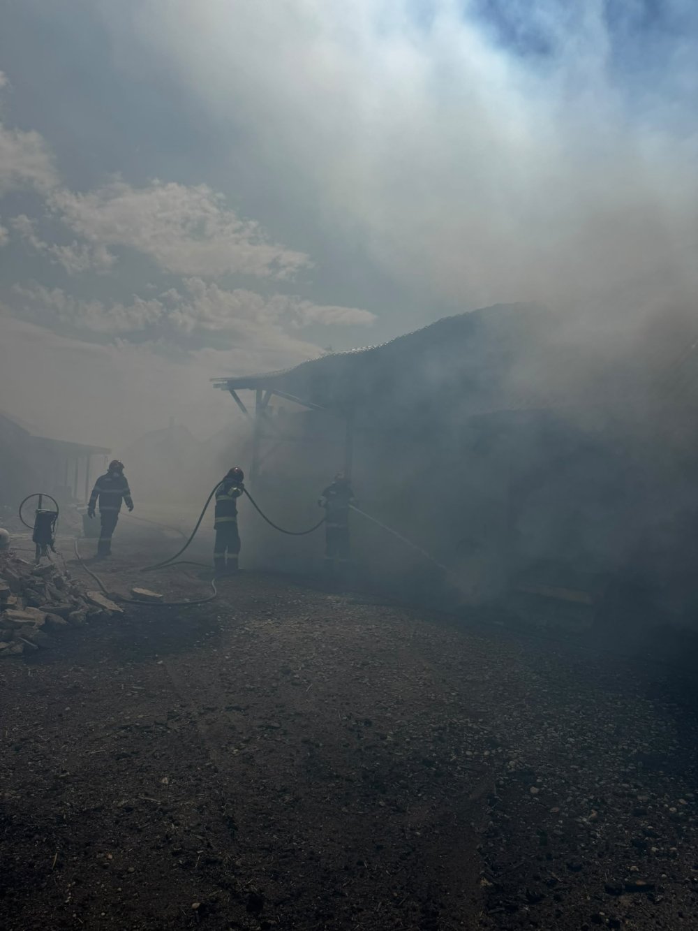 incendiu boghis.jpg