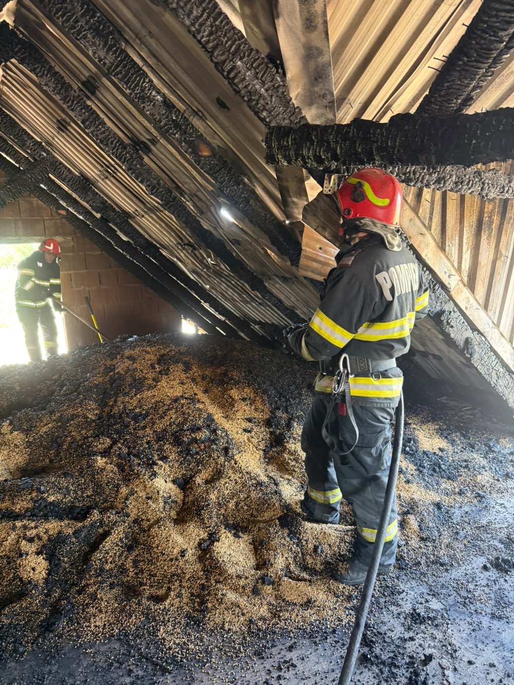 incendiu boghis4.jpg