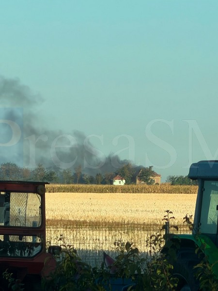 incendiu satu mare1.jpg