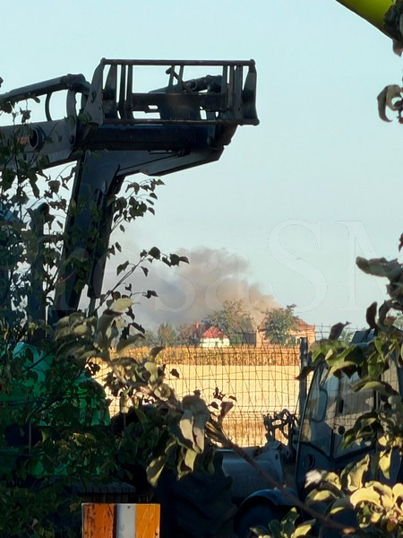 incendiu satu mare 4.jpg