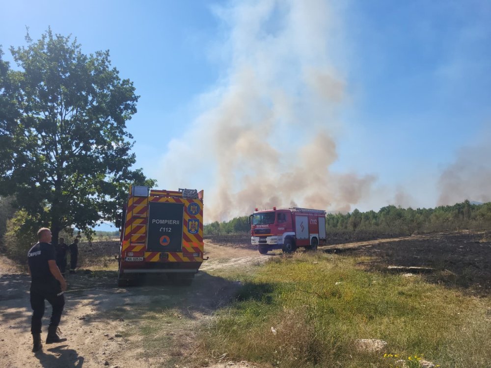 FOTO/VIDEO. Incendiu uriaș de vegetație la Certeze. Pompierii luptă cu mai multe focare