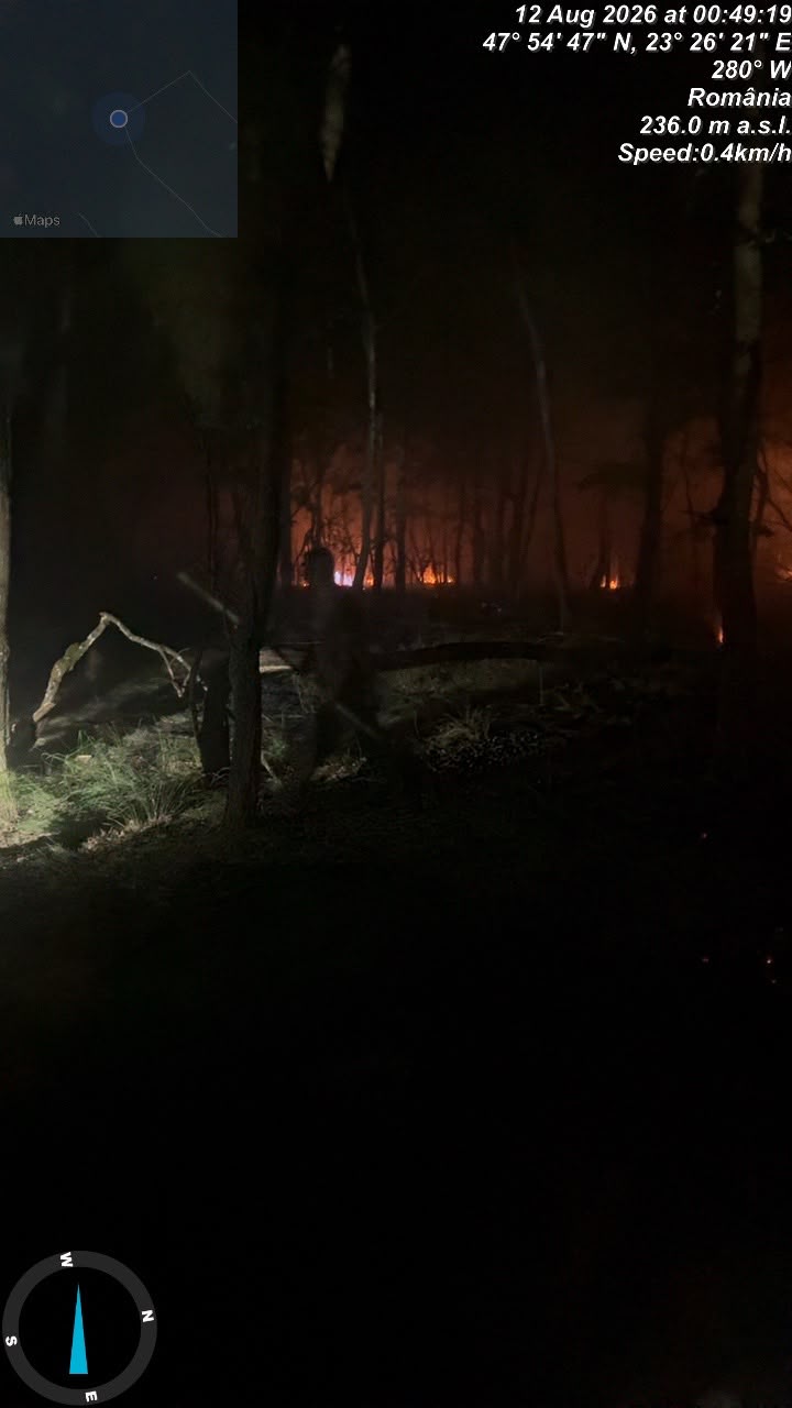Incendiu vegetatie satu mare.jpg