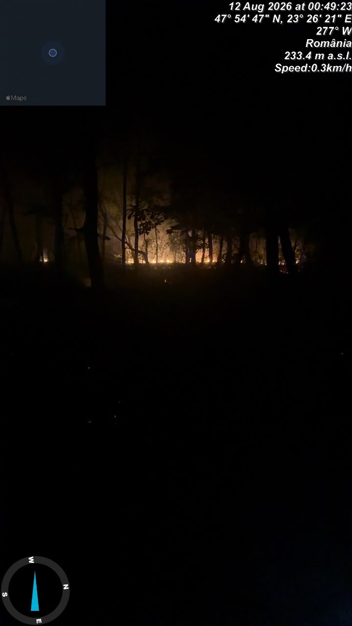 Incendiu vegetatie satu mare1.jpg