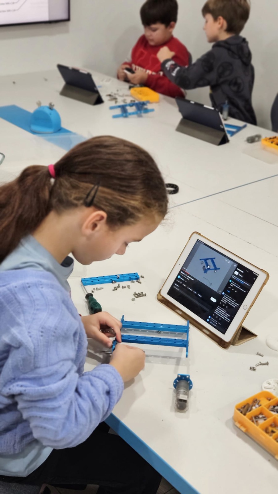 Smart RobotX Satu Mare (11).jpeg