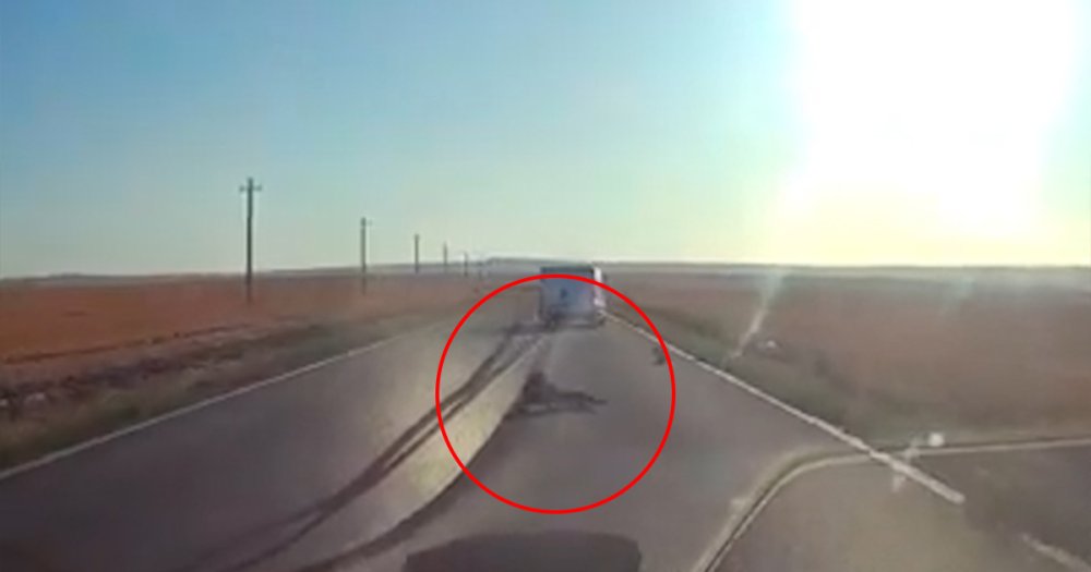 VIDEO. Imagini șocante pe un drum din țară. Copil căzut din dubă, pe șosea. Se ridică și merge pe sensul opus, către un TIR