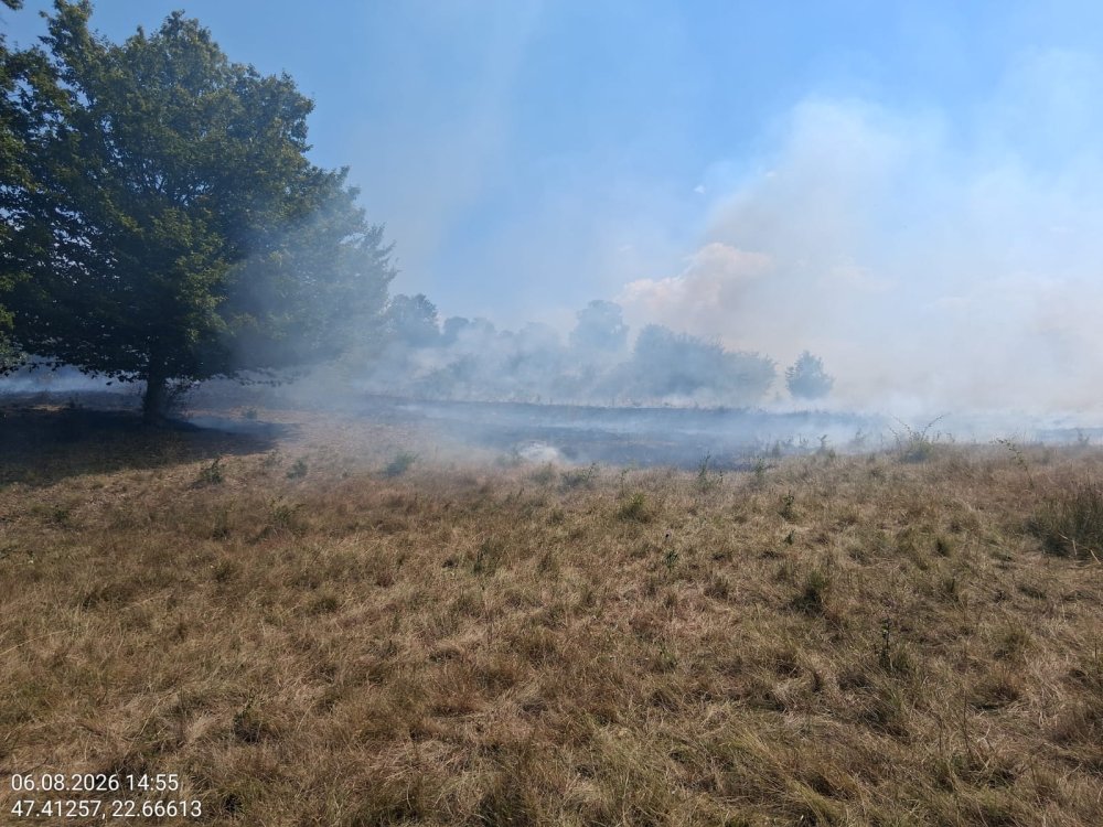 incendiu de vegetatie (1).jpeg