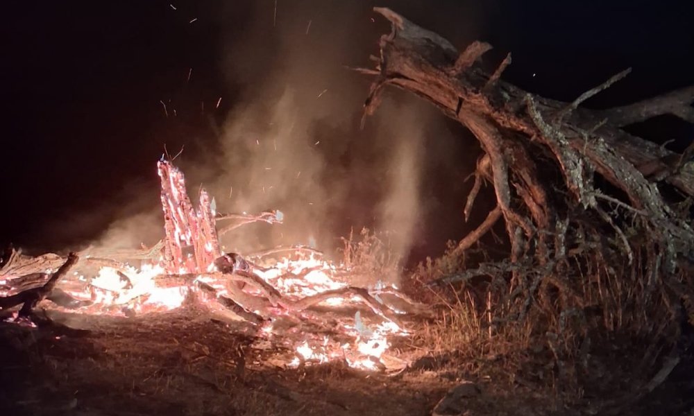 incendiu de vegetatie (2).jpeg