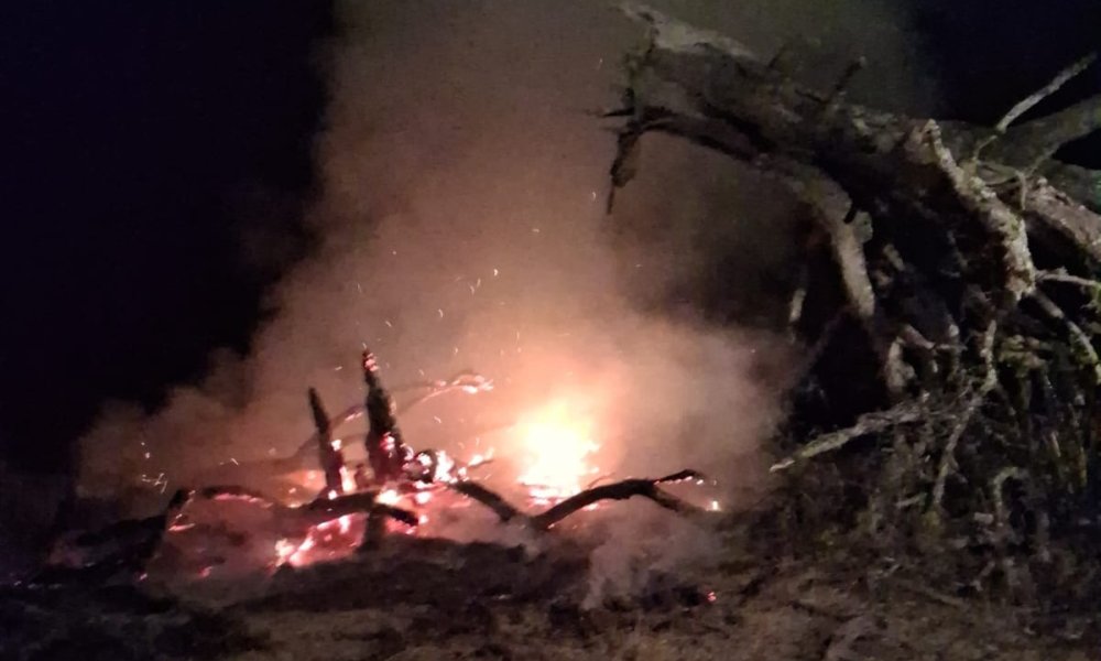 incendiu de vegetatie (3).jpeg