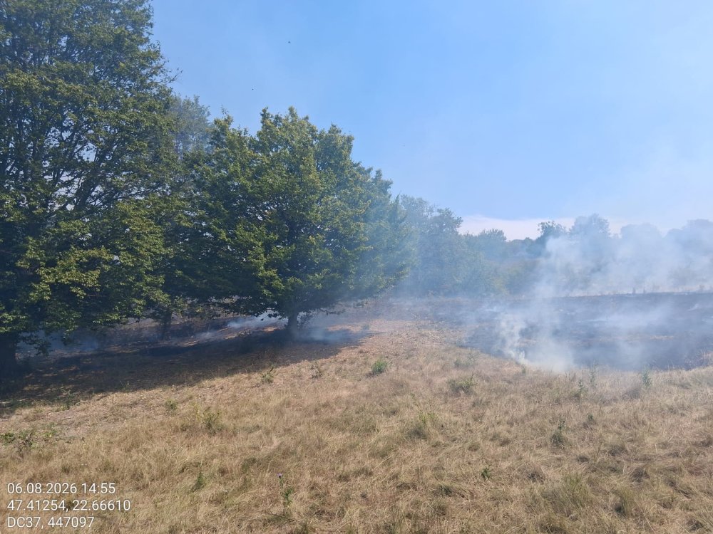 incendiu de vegetatie (4).jpeg