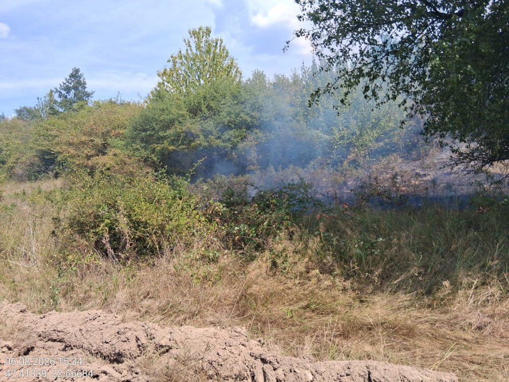 incendiu de vegetatie (5).jpeg