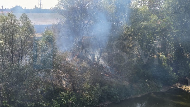 incendiu malul someșului2.jpg