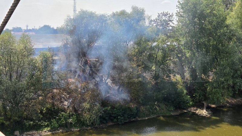 FOTO/VIDEO. Incendiu puternic pe malul Someșului, în Satu Mare. Vegetație cuprinsă de flăcări, în zona Podului Galben