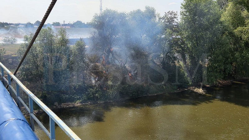 incendiu malul someșului5.jpg