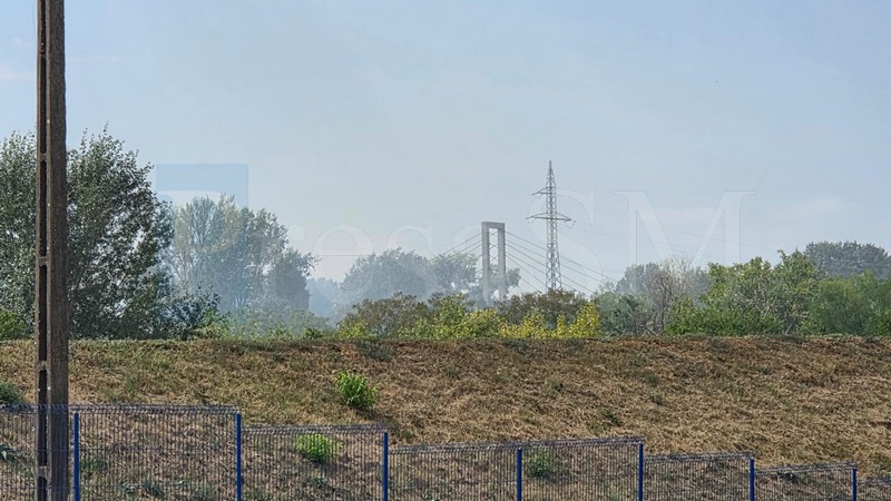 incendiu malul someșului7.jpg