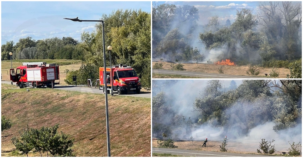 FOTOGALERIE. Incendiu de amploare pe malul Someșului, în zona Cartierului Micro 16