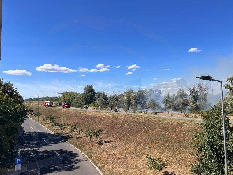 incendiu malul somesului micro 16 satu mare (11).jpg