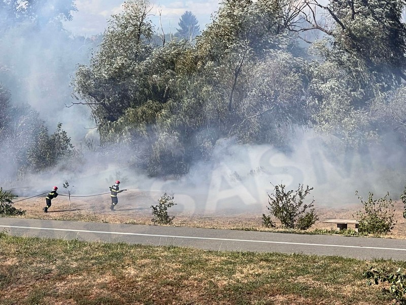 incendiu malul somesului micro 16 satu mare (12).jpg