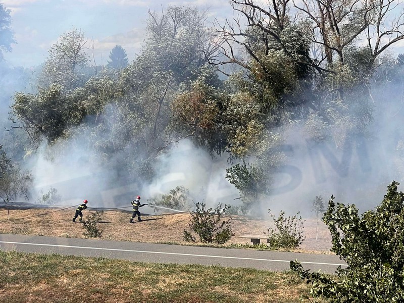 incendiu malul somesului micro 16 satu mare (13).jpg