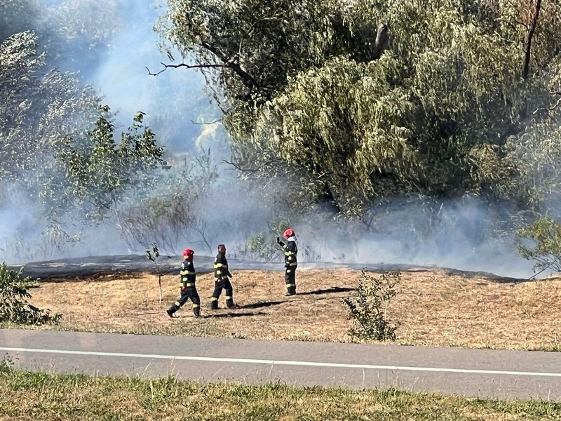 incendiu malul somesului micro 16 satu mare (14).jpg