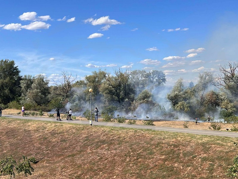 incendiu malul somesului micro 16 satu mare (2).jpg