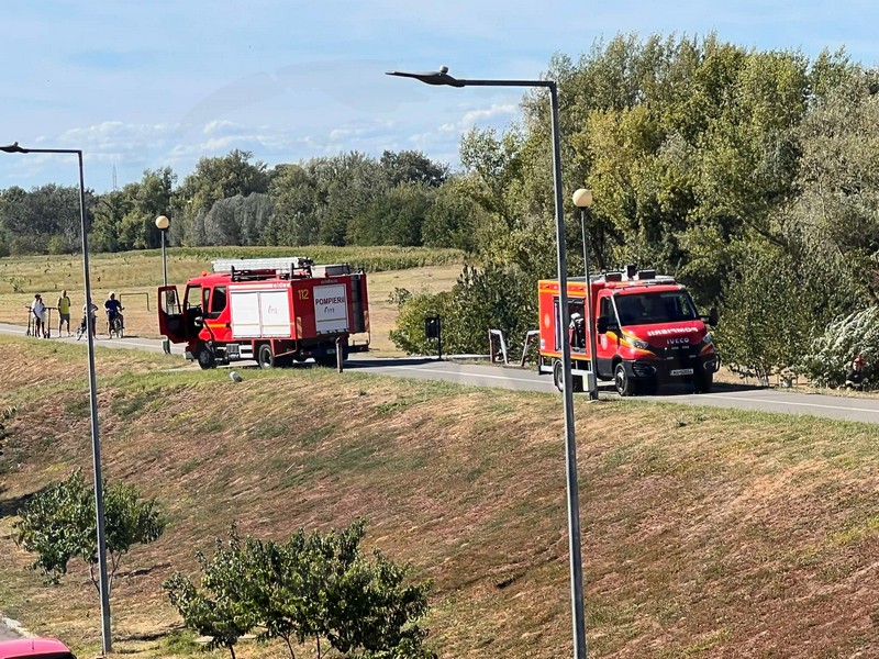 incendiu malul somesului micro 16 satu mare (3).jpg
