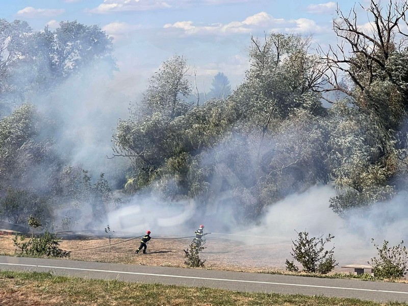 incendiu malul somesului micro 16 satu mare (4).jpg