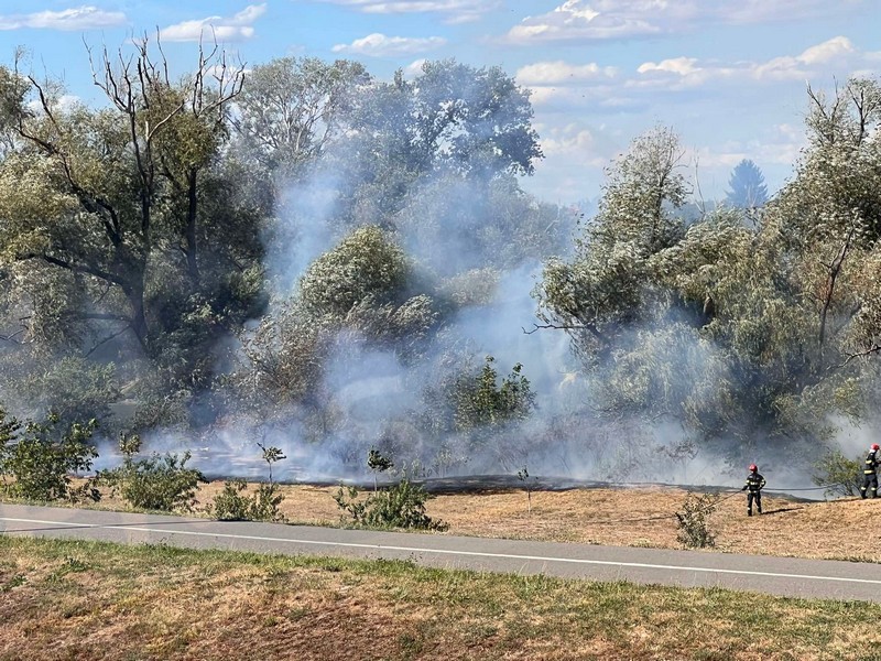 incendiu malul somesului micro 16 satu mare (5).jpg