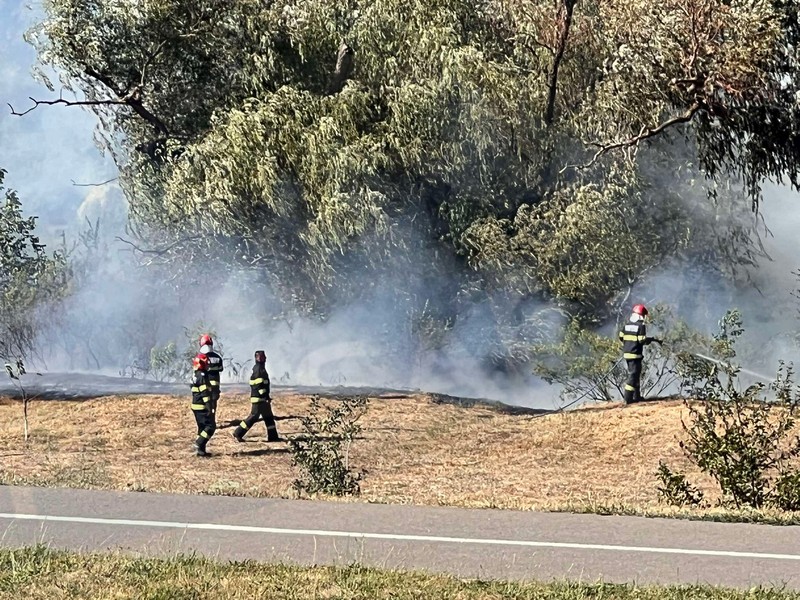 incendiu malul somesului micro 16 satu mare (6).jpg