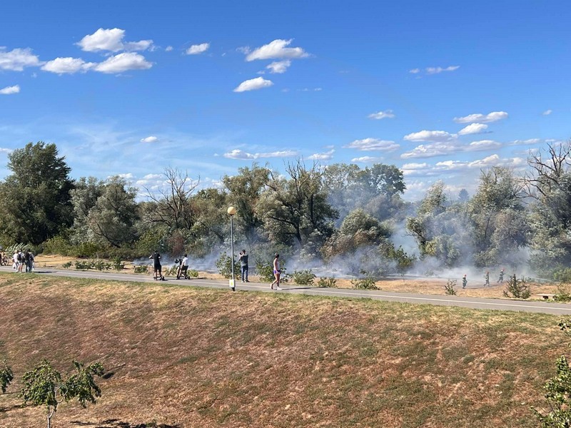 incendiu malul somesului micro 16 satu mare (7).jpg