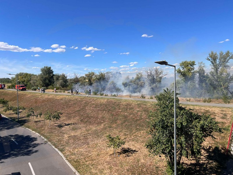 incendiu malul somesului micro 16 satu mare (8).jpg