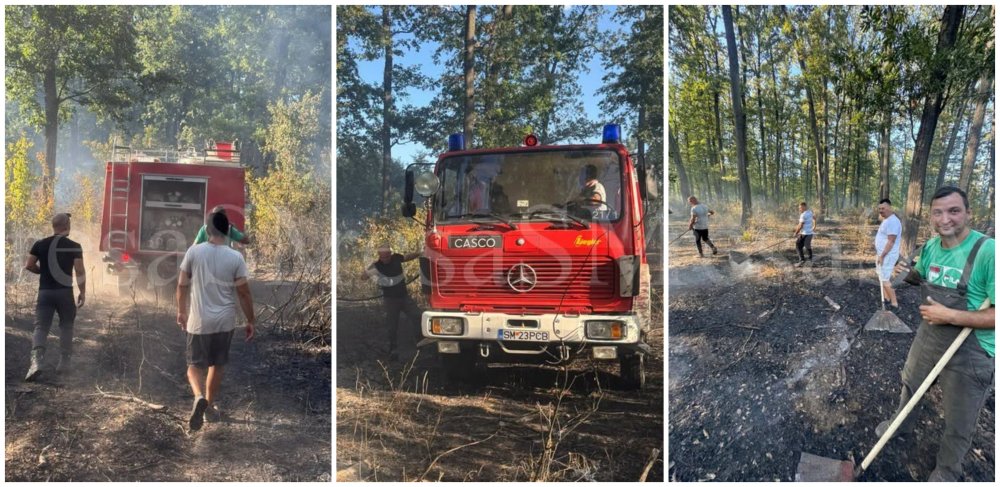 FOTO/VIDEO. Incendiu în pădure, la Ardud. Peste 7 hectare sunt afectate de flăcări. Mobilizare a localnicilor