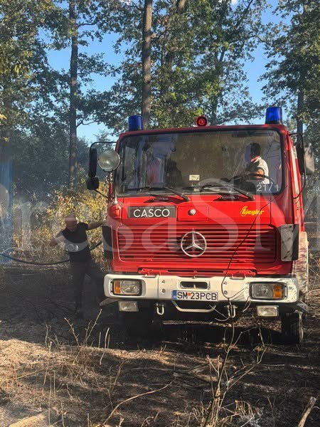 incendiu padure ardud (5).jpg