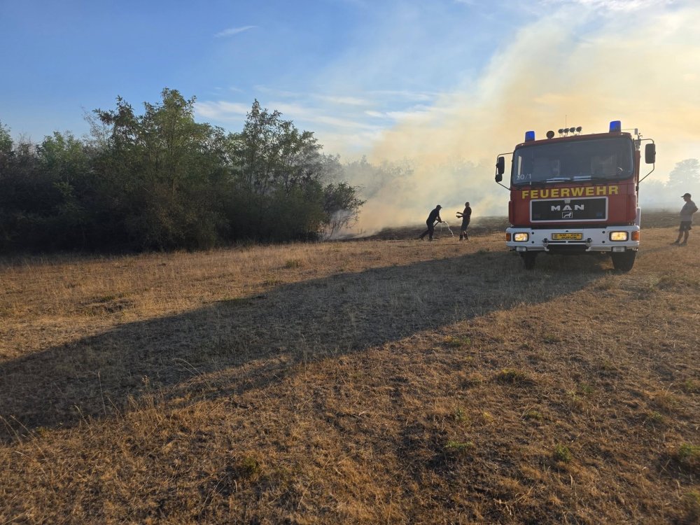 incendiu pasune vegetatie (11).jpg