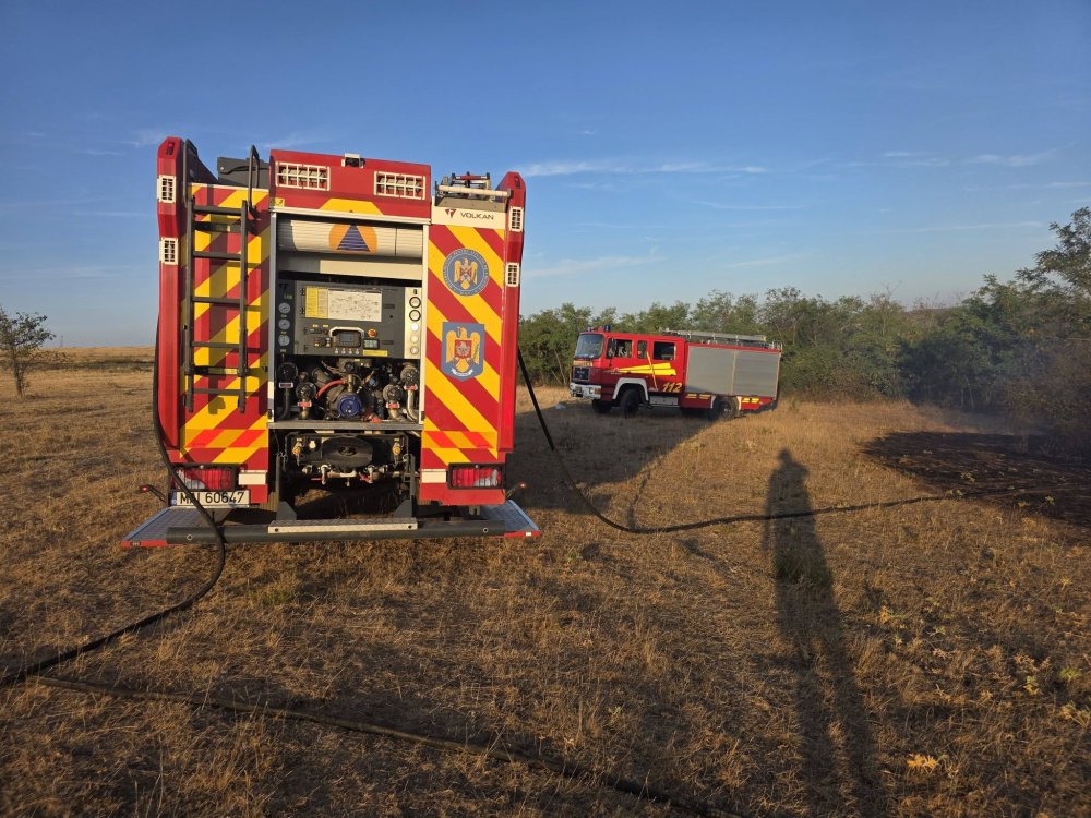 incendiu pasune vegetatie (13).jpg