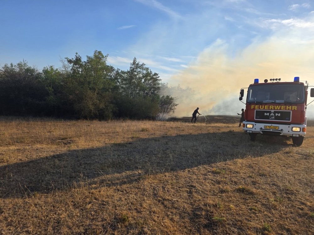 incendiu pasune vegetatie (14).jpg