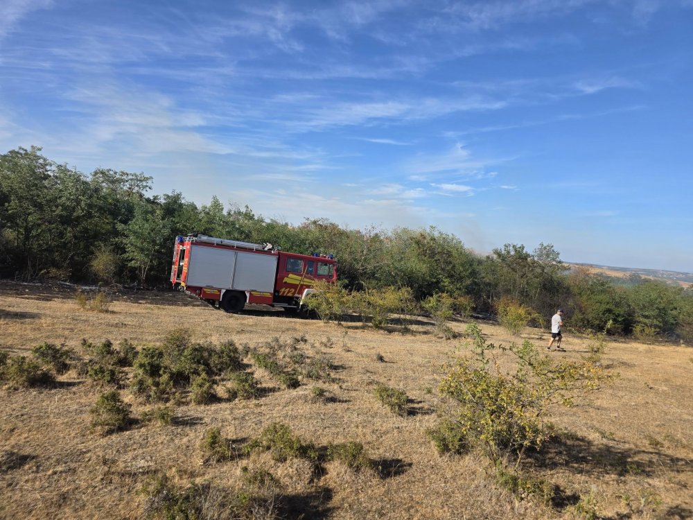 incendiu pasune vegetatie (4).jpg