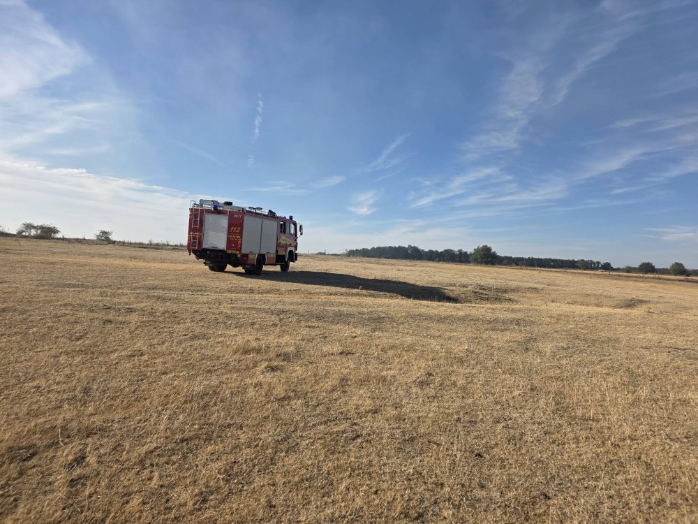 incendiu pasune vegetatie (5).jpg
