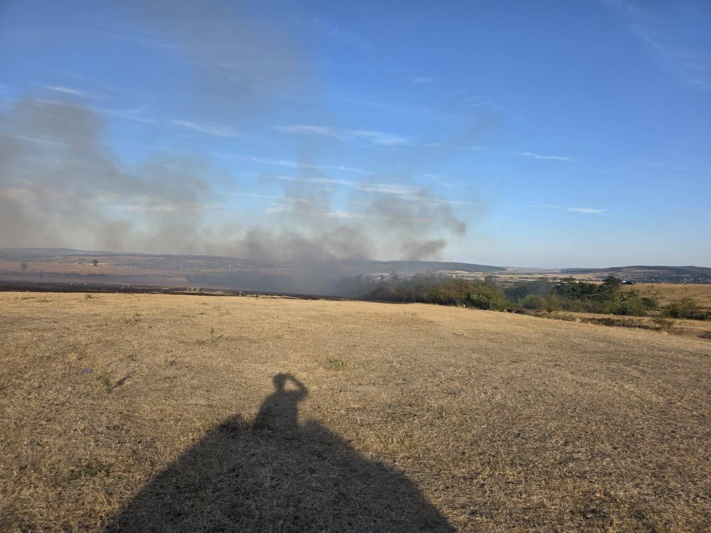 incendiu pasune vegetatie (6).jpg