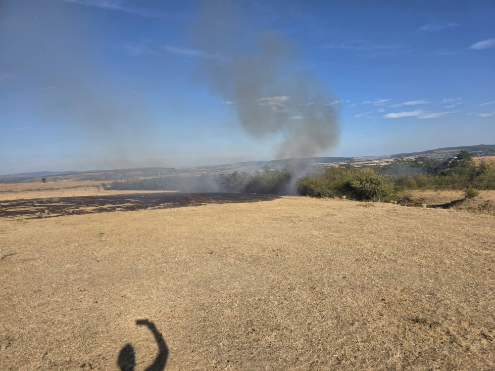 incendiu pasune vegetatie (7).jpg