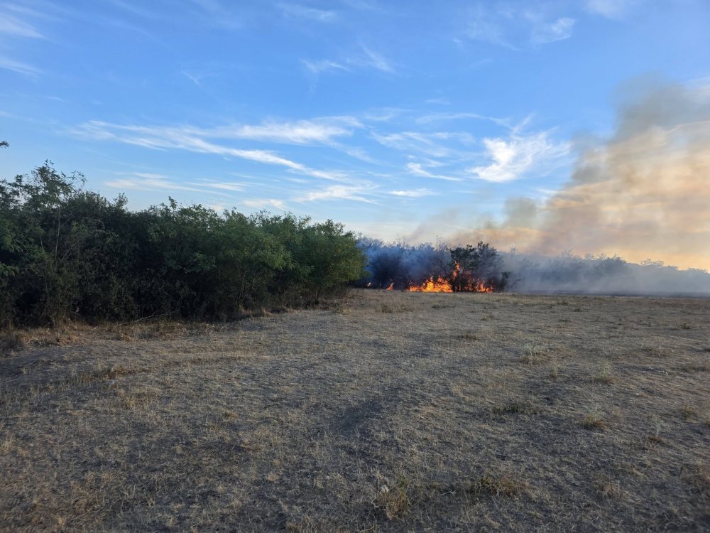 incendiu pasune vegetatie (8).jpg