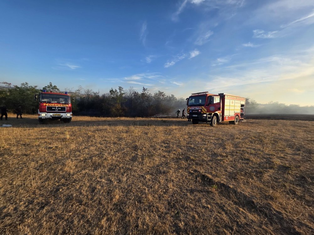 incendiu pasune vegetatie (9).jpg