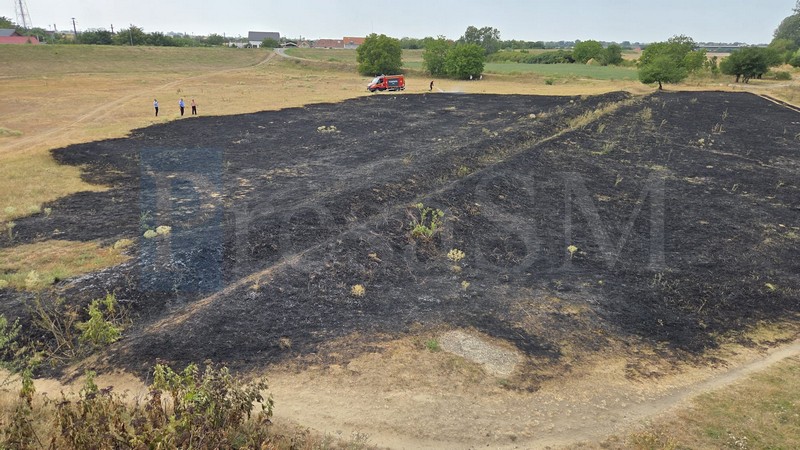 FOTO/VIDEO. Incendiu puternic pe malul Someșului, în Satu Mare. Vegetație cuprinsă de flăcări, în zona Podului Galben