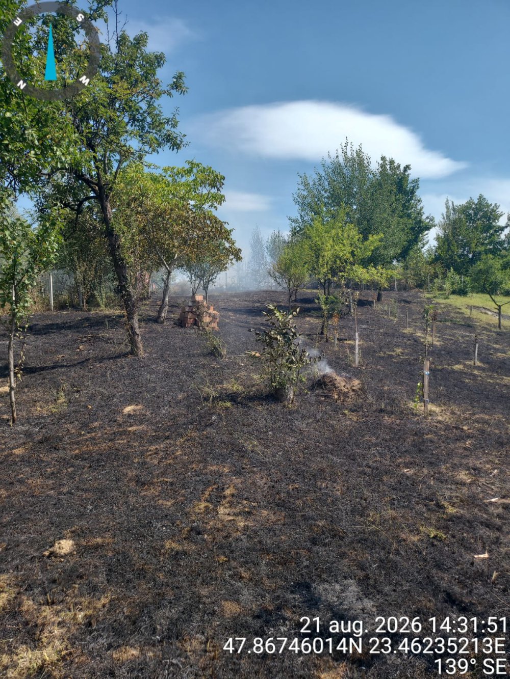 incendiu vegetatie.jpg