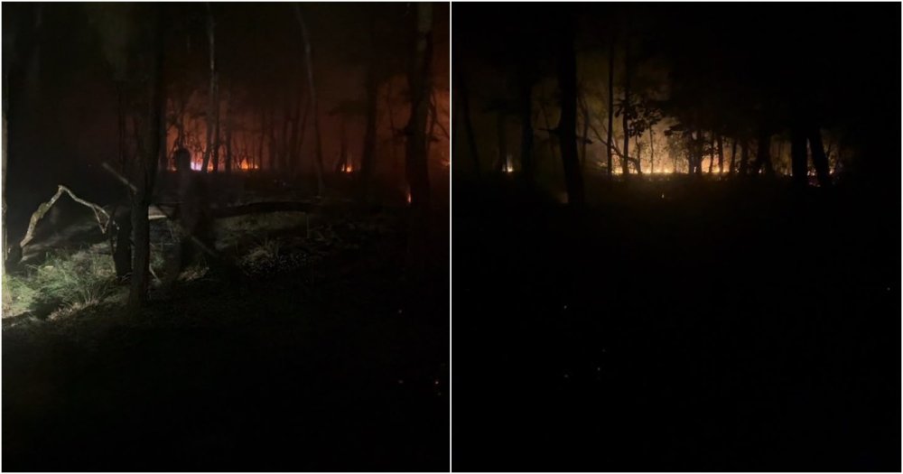 FOTO. Două incendii de vegetație, în doar câteva ore, în județul Satu Mare. Cinci hectare, afectate de flăcări