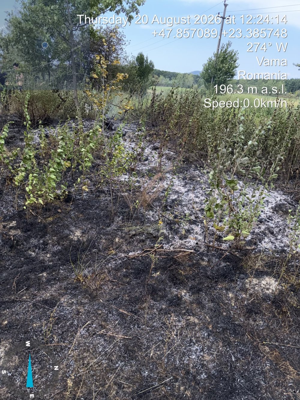 incendiu vegetatie satu mare.jpg